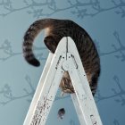 Gato na escada de cabeça para baixo — Fotografia de Stock
