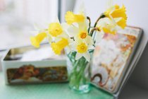 Gelbe Narzissen in Vase — Stockfoto