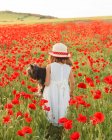 Girl holding dog in field of poppies — Stock Photo