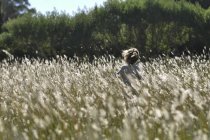 Дівчина біжить у полі — стокове фото