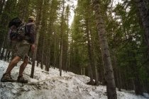 Homme randonnée dans la forêt enneigée — Photo de stock