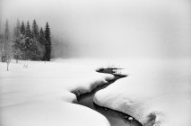 Зимний туманный пейзаж — стоковое фото