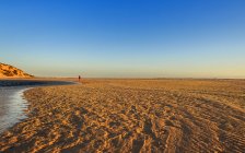 Человек стоит на пляже — стоковое фото
