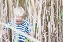 Хлопчик у пшеничному полі — стокове фото