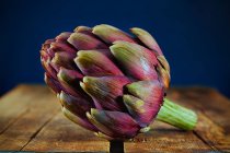 Cabeza de flor de alcachofa - foto de stock