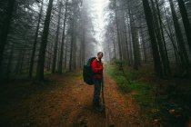 Caminhante em pé na trilha na floresta — Fotografia de Stock