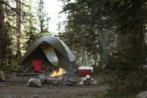 Camping in forest with campfire — Stock Photo