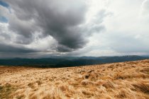 Paysage panoramique avec champ — Photo de stock