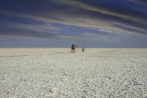 Camello y hombre caminando en el desierto de Kutch - foto de stock