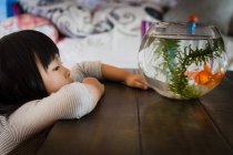 Дівчина дивиться на акваріум — стокове фото
