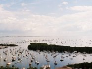 Майами, Sailboats in bay — стоковое фото