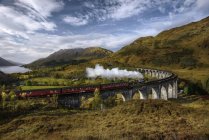 Steam train passing viaduct — Stock Photo