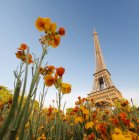 Eiffel Tower seen from down low through flowers — Stock Photo
