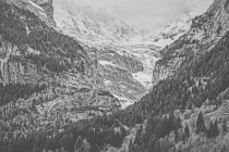 Vista de los Alpes de Grindelwald - foto de stock