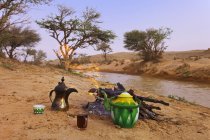 Saudi arabien, picknick in der wüste — Stockfoto