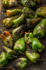 Geröstete grüne Paprika — Stockfoto