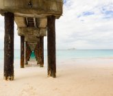 Molo di legno alle Barbados — Foto stock