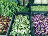 Овощи на продовольственном рынке — стоковое фото