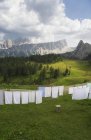 Sheets and towels hanging on washing line — Stock Photo