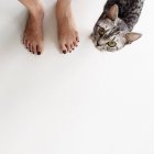 Woman standing next to a cat — Stock Photo