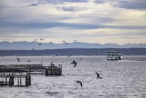 Ferry leaving Port Townsend — Stock Photo
