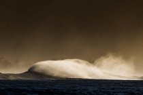 Ocean Spray de una ola - foto de stock