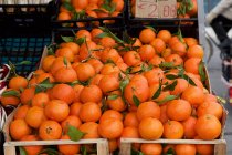 Frische Bio-Mandarinen — Stockfoto