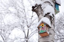 Birdhouses in winter forest — Stock Photo
