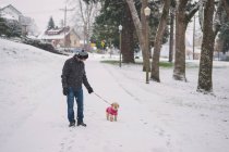 Hombre caminando con perro en la calle nevada - foto de stock