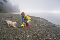 Menino brincando com cachorro retriever na praia — Fotografia de Stock