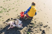 Мальчик копает на пляже — стоковое фото