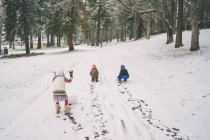 Niños y niñas rodando bolas de nieve - foto de stock