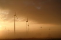 Wind turbines in fog — Stock Photo