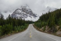 Strada che porta a Jasper — Foto stock
