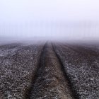 Campo raso em nevoeiro e geada — Fotografia de Stock