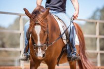 Uomo a cavallo — Foto stock