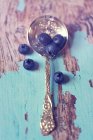 Blueberry and vintage spoon — Stock Photo