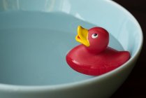 Rubber duck in bowl — Stock Photo