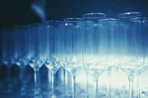 Rows of champagne glasses — Stock Photo
