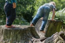 Two boys climbing tree stamps — Stock Photo
