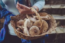 Femme tenant panier de champignons — Photo de stock