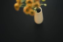 Flores cor de laranja em vaso — Fotografia de Stock
