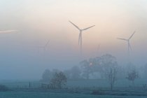 Wind power turbines on field — Stock Photo