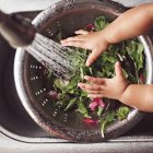 Child washing salad leaves — Stock Photo