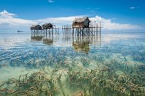Stelzenhütten spiegeln sich im Meer — Stockfoto