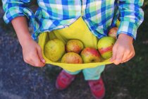 Garçon tenant des pommes fraîchement cueillies — Photo de stock