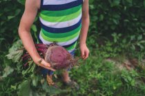 Boy holding a beetroot — Stock Photo
