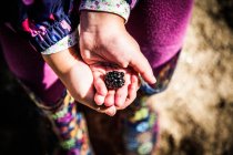 Girl holding blackberry — Stock Photo