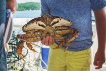 Garçon tenant le crabe royal — Photo de stock