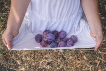 Fille portant des prunes fraîchement cueillies — Photo de stock